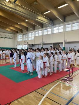 Shotokan karate klub Postojna