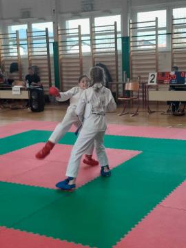Shotokan karate klub Postojna