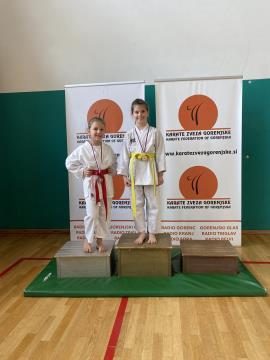 Shotokan karate klub Postojna