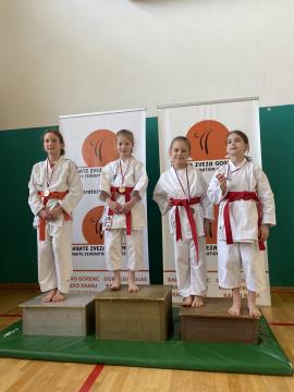 Shotokan karate klub Postojna