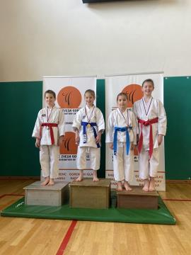 Shotokan karate klub Postojna