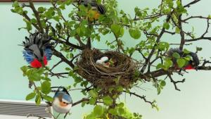 Velika noč v Pudguri in Beli krajini