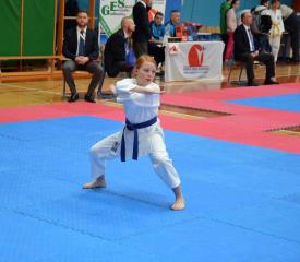 1. Pokalna tekma KZS v karateju 2017 v Luciji