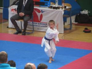 1. Pokalna tekma KZS v karateju 2017 v Luciji