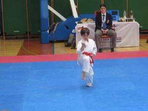 1. Pokalna tekma KZS v karateju 2017 v Luciji