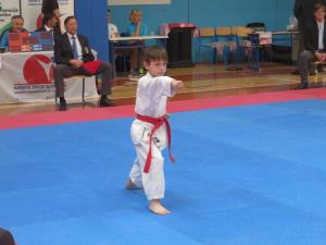 1. Pokalna tekma KZS v karateju 2017 v Luciji