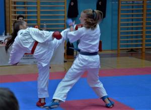 1. Pokalna tekma KZS v karateju 2017 v Luciji
