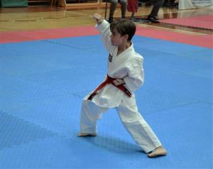 1. Pokalna tekma KZS v karateju 2017 v Luciji