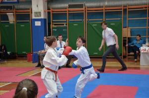 1. Pokalna tekma KZS v karateju 2017 v Luciji