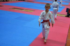 1. Pokalna tekma KZS v karateju 2017 v Luciji