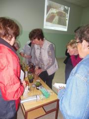 Od pridelave semen na domačem vrtu do zdrave hrane za vso družino