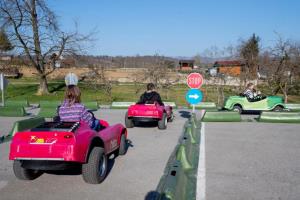 Prometna vzgoja otrok v Postojni – program Jumicar