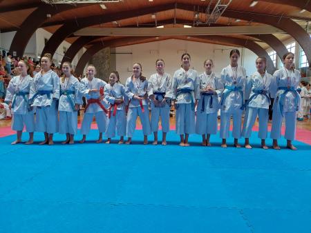 Shotokan karate klub Postojna