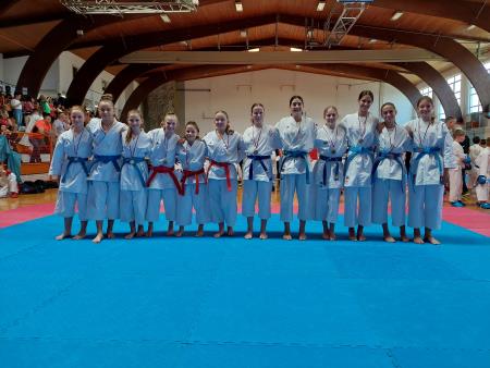 Shotokan karate klub Postojna
