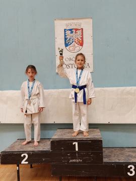 Shotokan karate klub Postojna