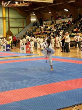 Shotokan karate klub Postojna