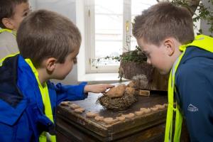 Slavnostno odprtje razstave “Ptički”