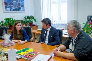 Vaja, natančnost in stabilnost