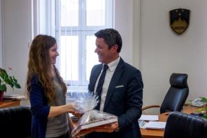 Vaja, natančnost in stabilnost