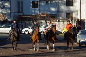 Slovesnost ob dnevu samostojnosti in enotnosti