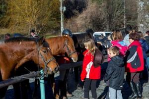 Slovesnost ob dnevu samostojnosti in enotnosti