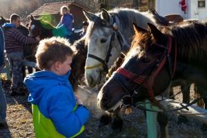 Slovesnost ob dnevu samostojnosti in enotnosti