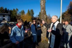 Slovesnost ob dnevu samostojnosti in enotnosti