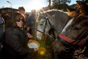 Slovesnost ob dnevu samostojnosti in enotnosti