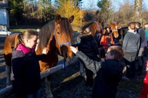 Slovesnost ob dnevu samostojnosti in enotnosti