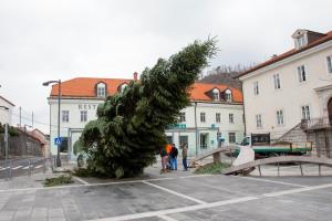 Novoletna jelka v Postojni