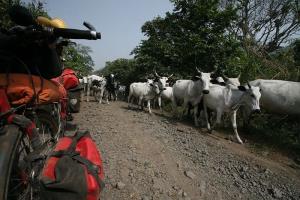 Potopisno predavanje S KOLESOM PO KAMERUNU