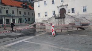 Ribica je čista