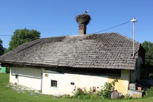 Obročkanje štorklje na Dilcah