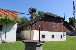 Obročkanje štorklje na Dilcah