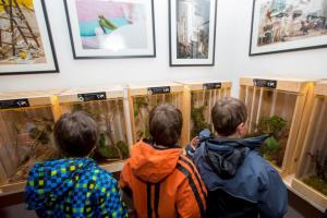 Posnemalci med nami – nova razstava v galeriji Na vogalu