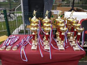 Skupno 2. in 3. mesto v Fire Combatu