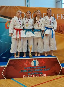   Shotokan karate klub Postojna