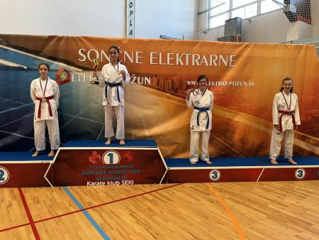   Shotokan karate klub Postojnab2cf7eb392067-V