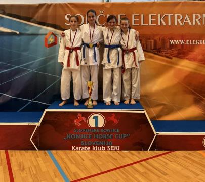   Shotokan karate klub Postojna