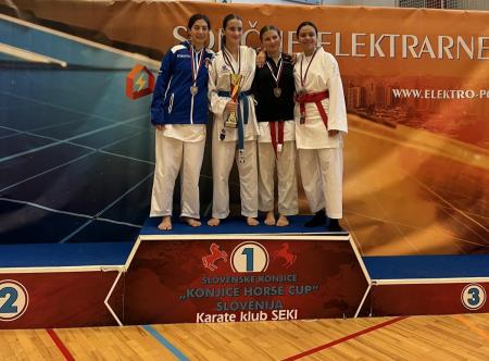   Shotokan karate klub Postojna