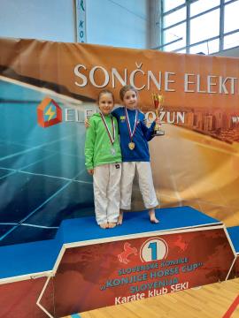   Shotokan karate klub Postojna