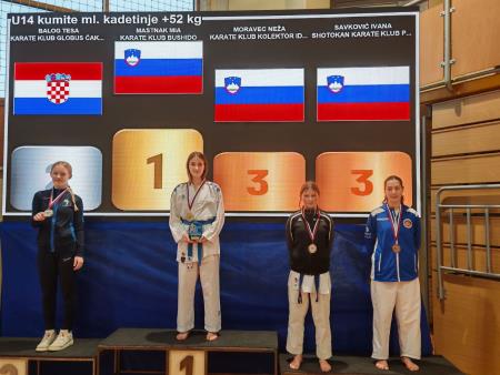 Shotokan karate klub Postojna