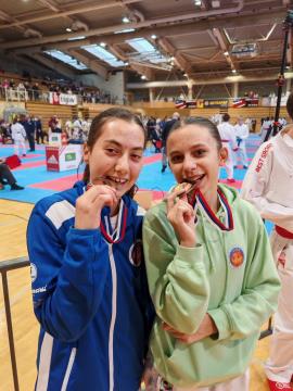 Shotokan karate klub Postojna