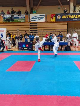 Shotokan karate klub Postojna