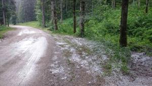 sneg_RŠ_070617_DSC_0049