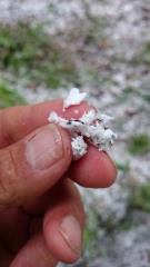 sneg_RŠ_070617_DSC_0053