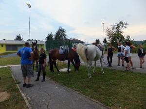 DSCF1894