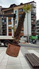 19961620_1946571502253381_7634237780854919031_n