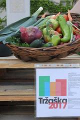 20229198_1950563758520822_7404949571602932631_n