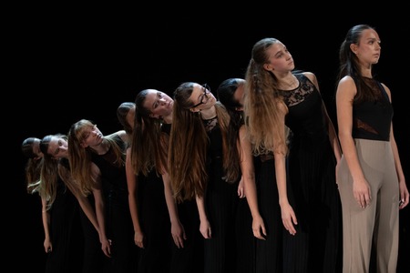 Baletno društvo Postojna